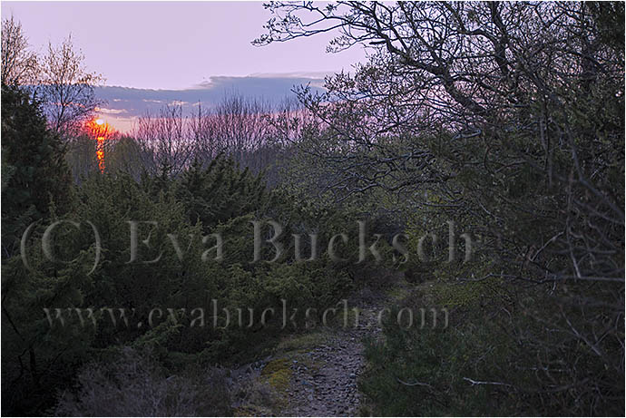 Kv&auml;llsljus - foto av Eva Bucksch